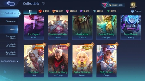 Skin 4