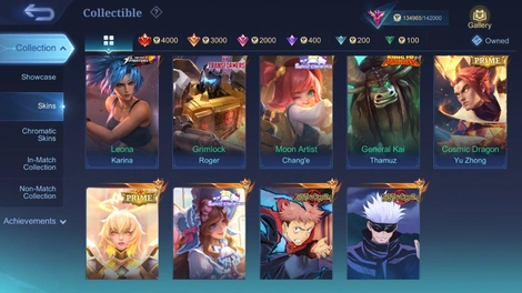 Skin 4