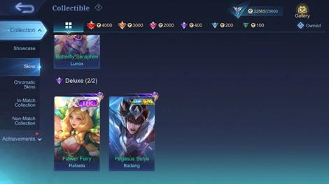 Skin 3