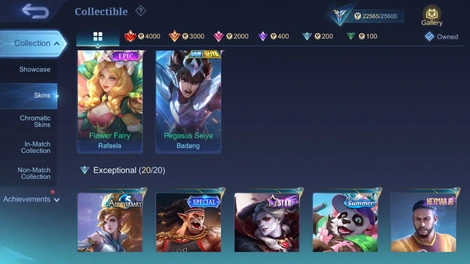 Skin 4
