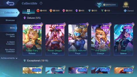 Skin 2
