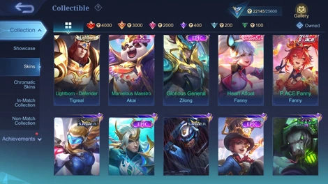 Skin 4