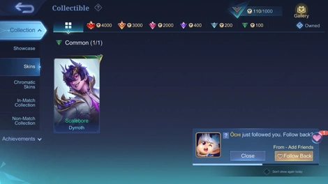 Skin 2