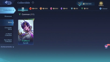 Skin 3