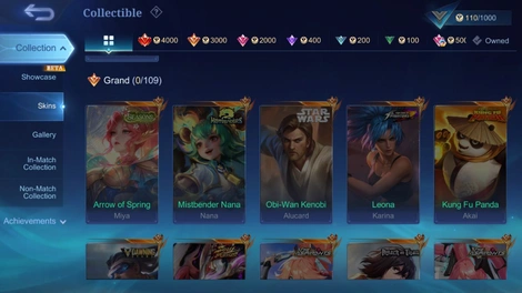 Skin 4
