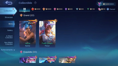 Skin 4