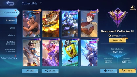 Skin 1