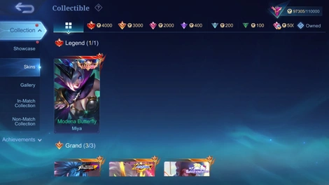 Skin 2