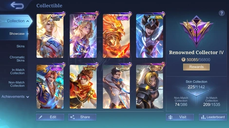 Skin 1