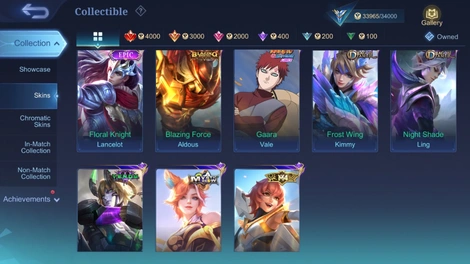 Skin 4