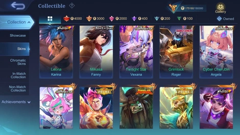 Skin 4