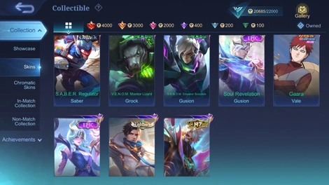 Skin 4