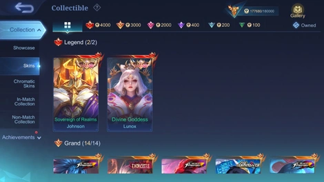 Skin 2