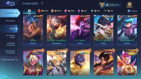 Skin 4