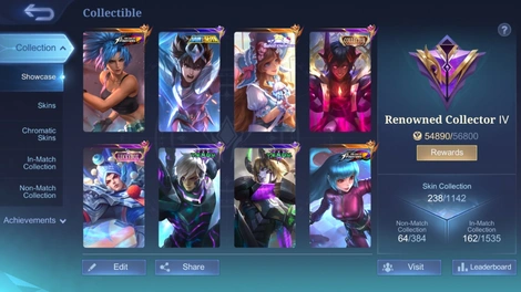 Skin 1