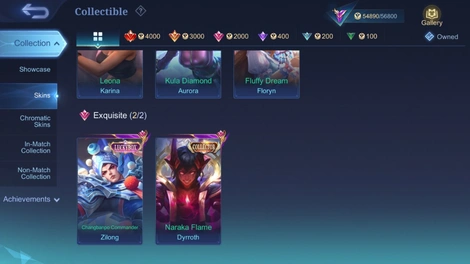 Skin 4
