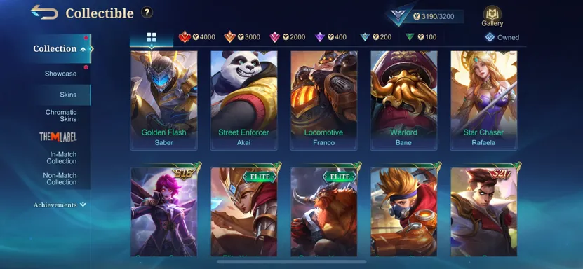 Skin 4