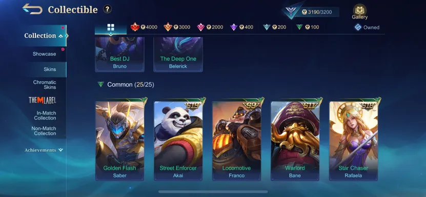 Skin 3