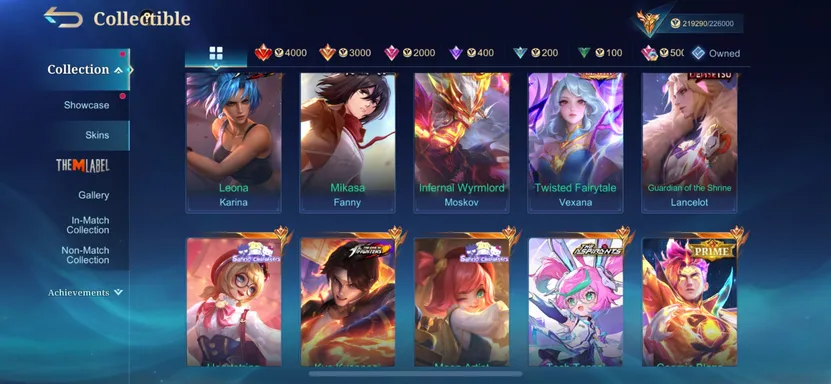 Skin 4