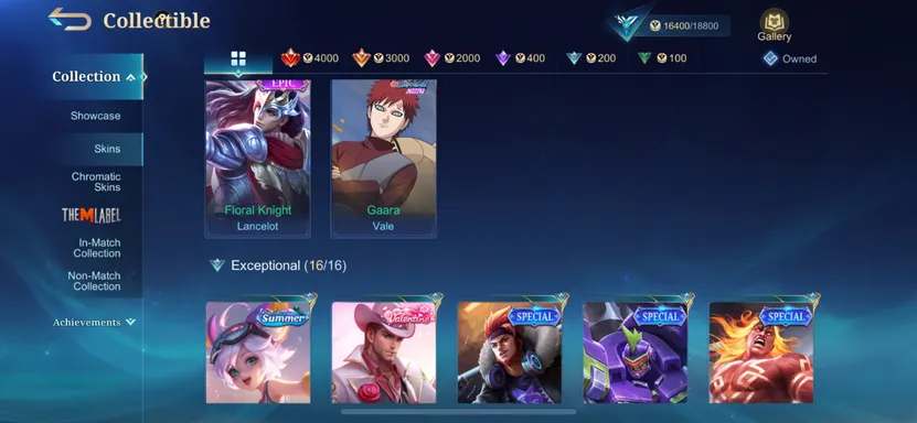 Skin 4