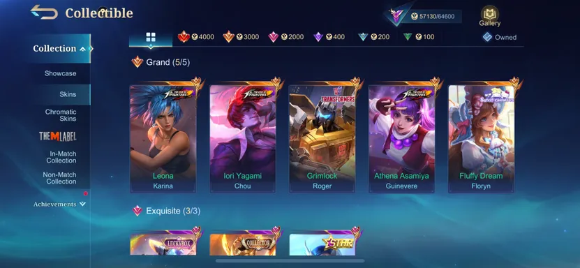 Skin 4