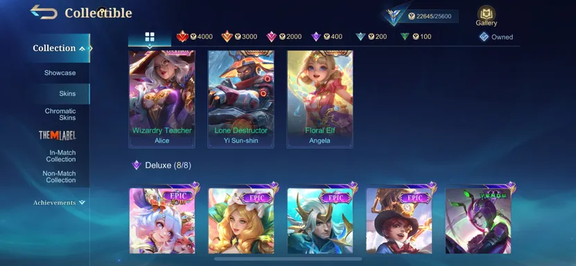Skin 4