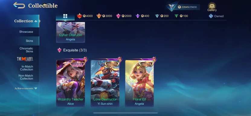 Skin 3